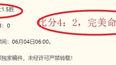 开云体育
